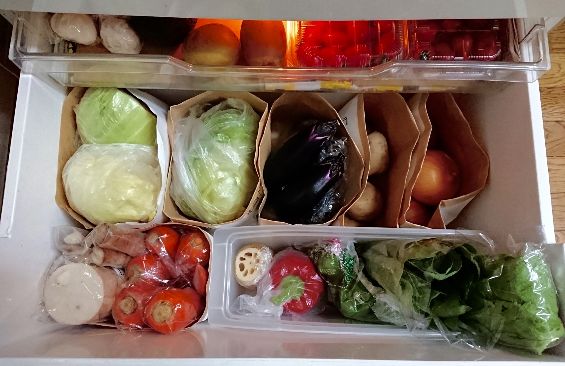 健康 節約 食中毒 食料 食べ物 長期保存 保存方法 野菜 肉 果物 傷みやすい