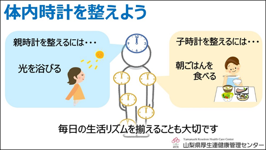 時計 栄養学 体内時計 時間栄養学