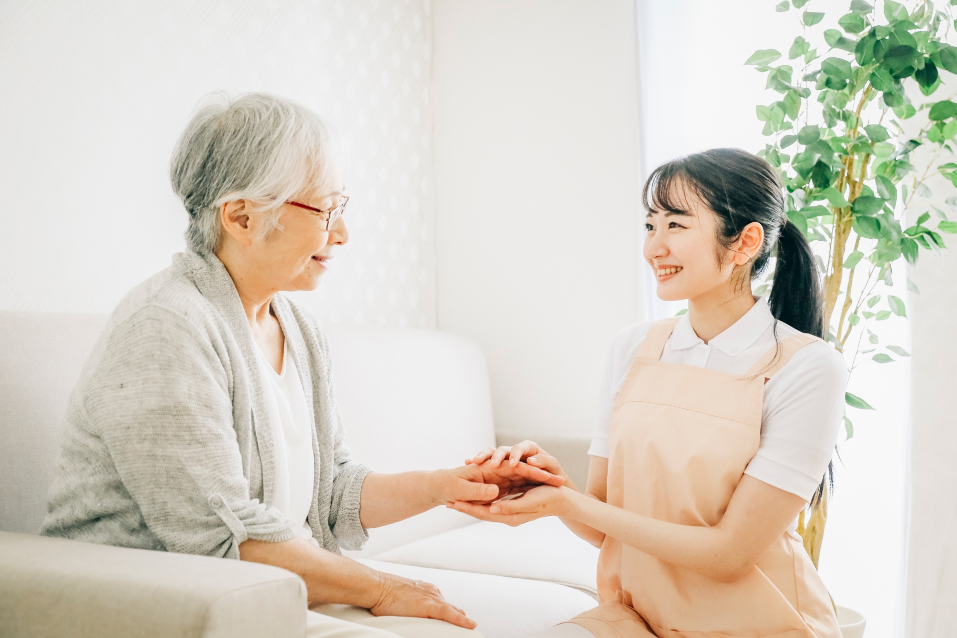 認知症 脳 トレーニング 高齢 若年 健康