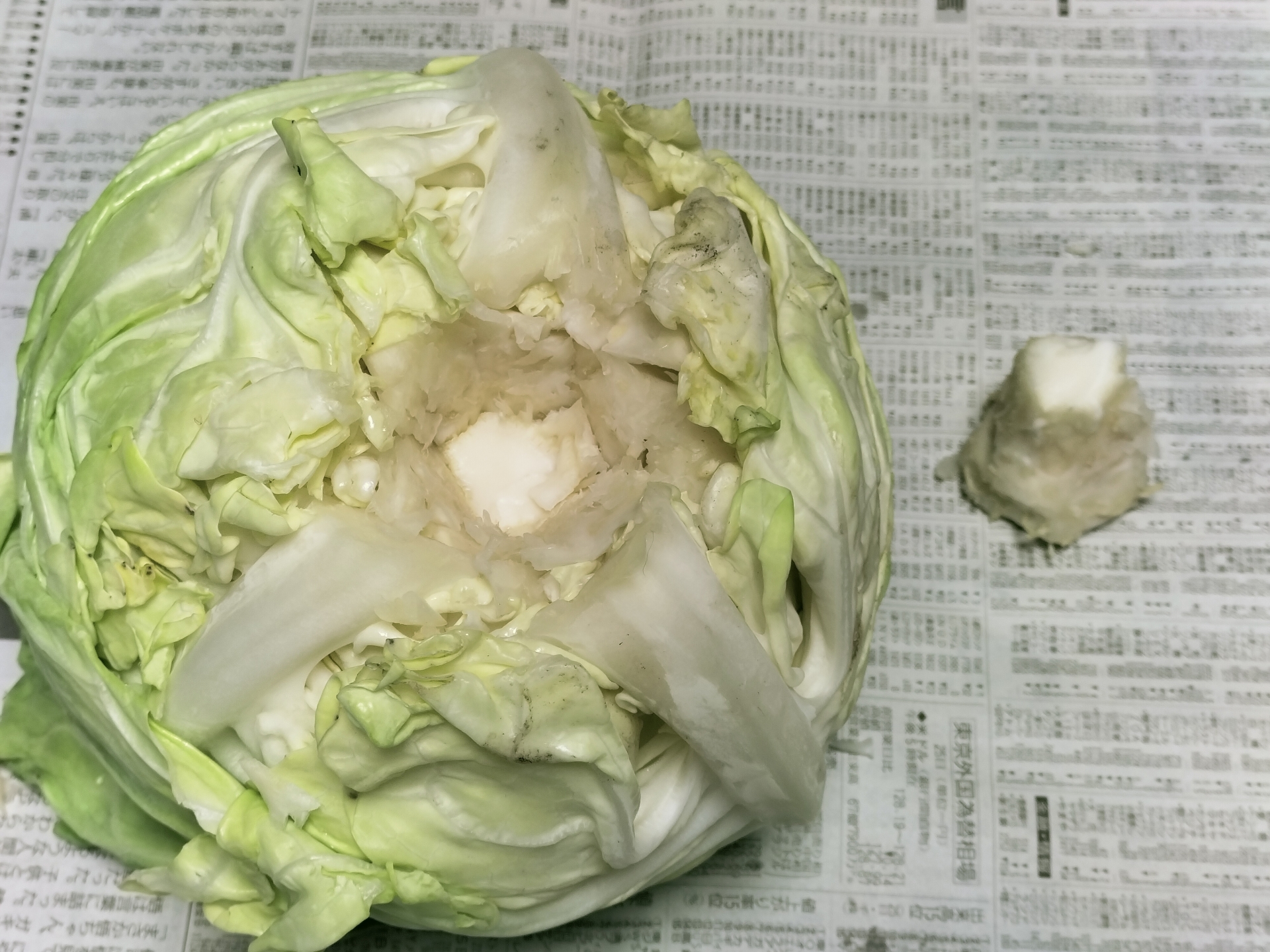健康 節約 食中毒 食料 食べ物 長期保存 保存方法 野菜 肉 果物 傷みやすい