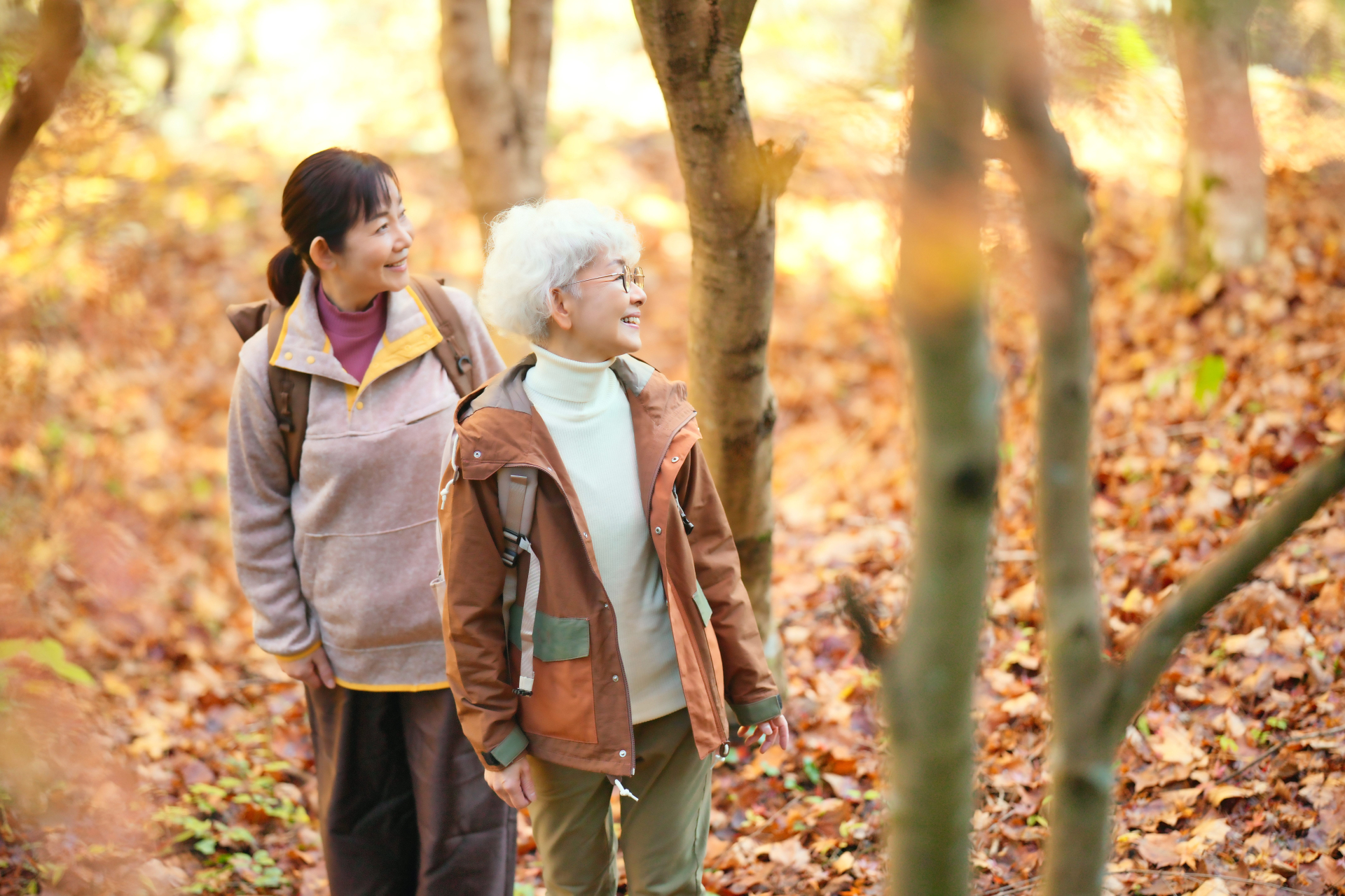 認知症 脳 トレーニング 高齢 若年 健康 栄養