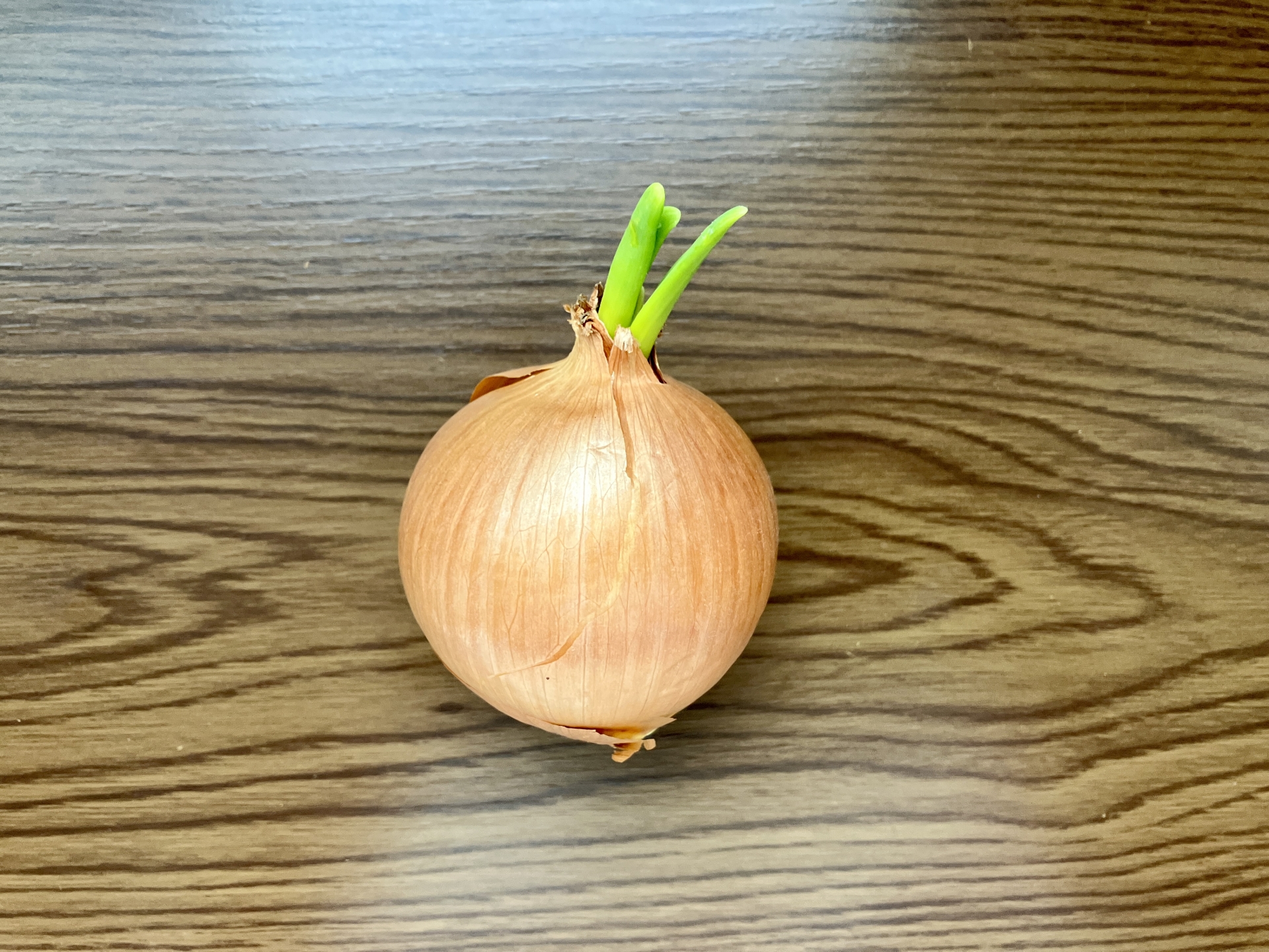 健康 節約 食中毒 食料 食べ物 長期保存 保存方法 野菜 肉 果物 傷みやすい