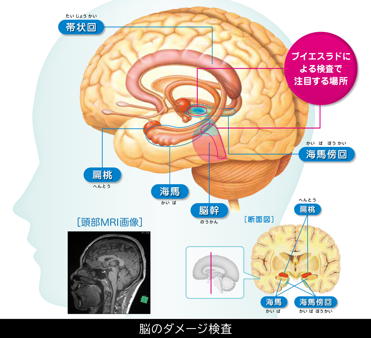 山梨県厚生連健康管理センター